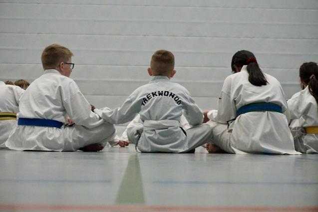 Gruppe von Kindern im Taekwondo-Anzug sitzt auf dem Boden, Rücken zur Kamera, in einer Trainingssession.